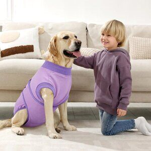Dog Surgery Suit Female Spay, Puppy Recovery Suit Male Neuter